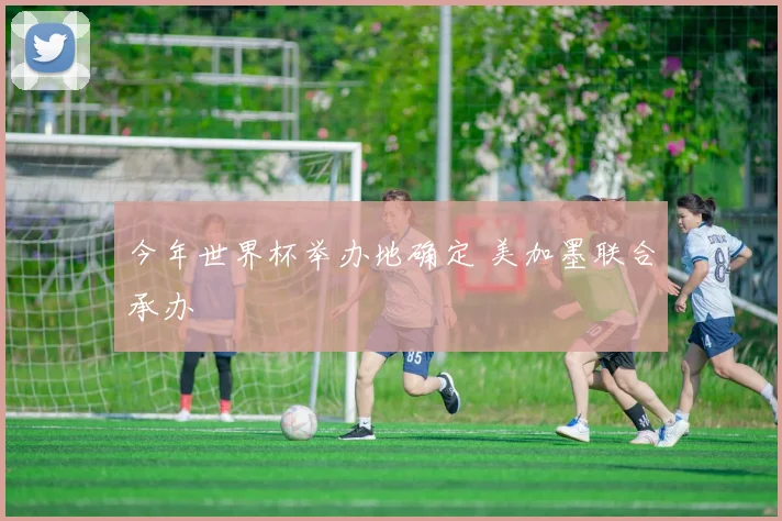 今年世界杯举办地确定 美加墨联合承办