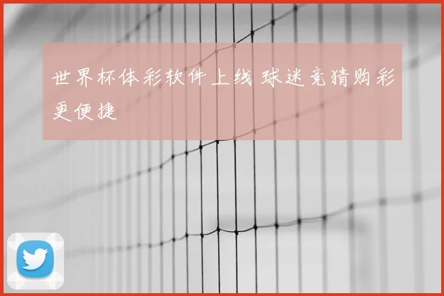 世界杯体彩软件上线 球迷竞猜购彩更便捷