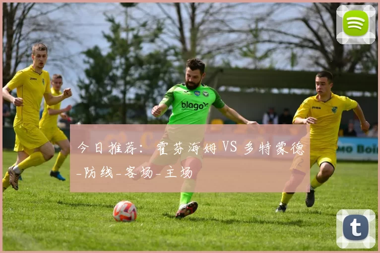 今日推荐：霍芬海姆 VS 多特蒙德_防线_客场_主场