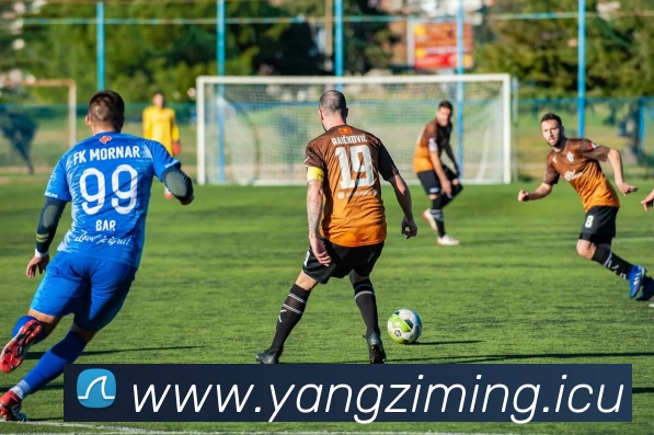 App Interface Preview